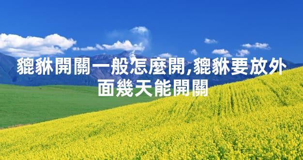 貔貅開關一般怎麼開,貔貅要放外面幾天能開關