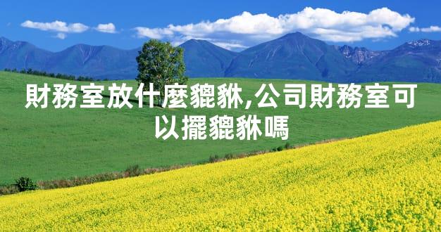財務室放什麼貔貅,公司財務室可以擺貔貅嗎