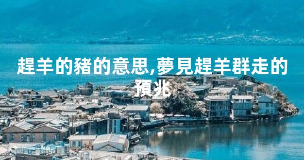 趕羊的豬的意思,夢見趕羊群走的預兆