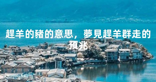 趕羊的豬的意思，夢見趕羊群走的預兆