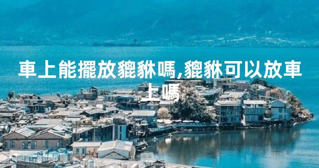 車上能擺放貔貅嗎,貔貅可以放車上嗎