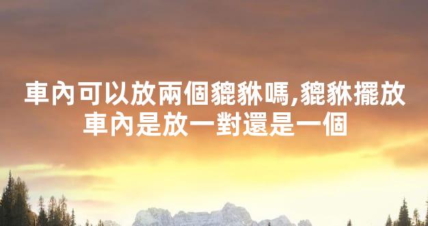 車內可以放兩個貔貅嗎,貔貅擺放車內是放一對還是一個