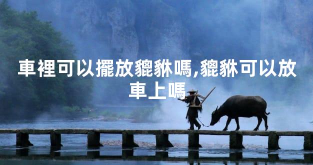 車裡可以擺放貔貅嗎,貔貅可以放車上嗎