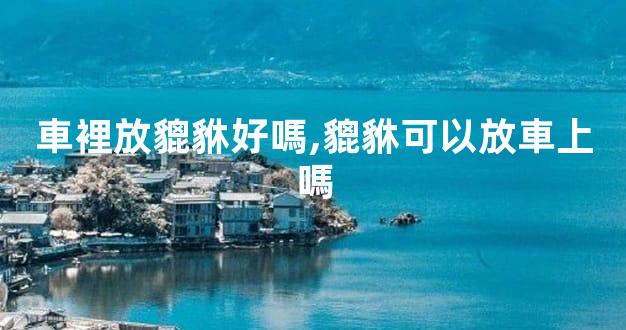 車裡放貔貅好嗎,貔貅可以放車上嗎