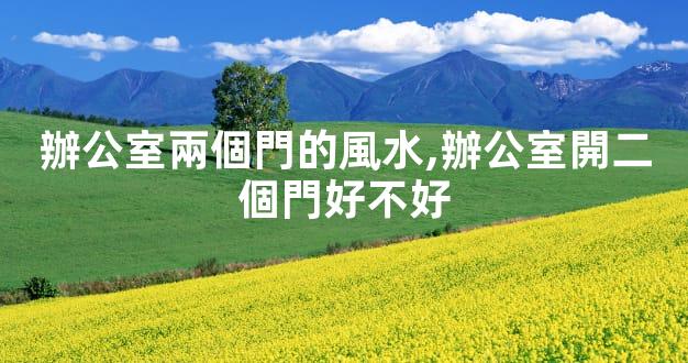 辦公室兩個門的風水,辦公室開二個門好不好