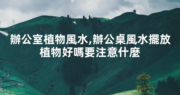 辦公室植物風水,辦公桌風水擺放植物好嗎要注意什麼