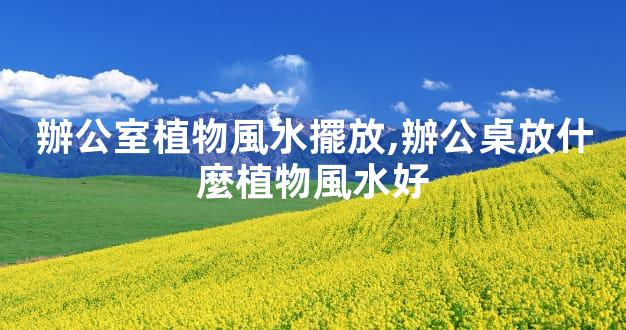 辦公室植物風水擺放,辦公桌放什麼植物風水好