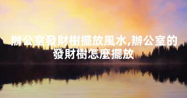 辦公室發財樹擺放風水,辦公室的發財樹怎麼擺放