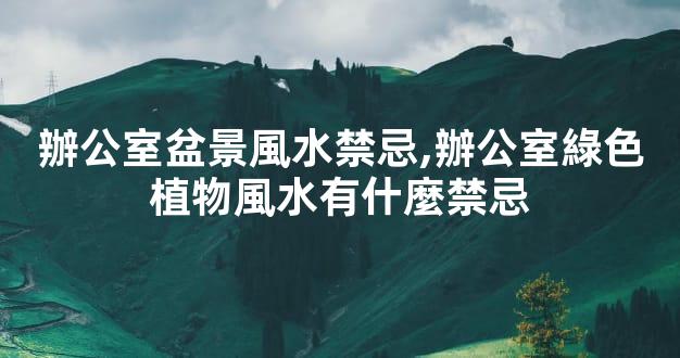 辦公室盆景風水禁忌,辦公室綠色植物風水有什麼禁忌