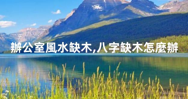 辦公室風水缺木,八字缺木怎麼辦