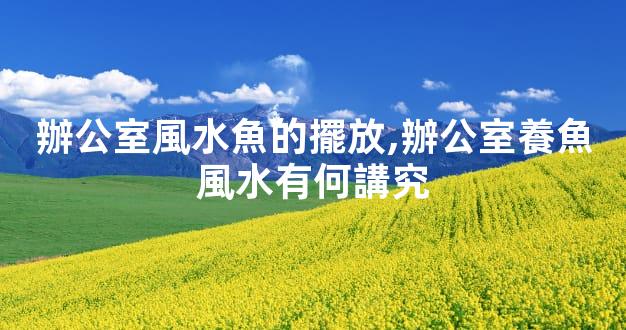 辦公室風水魚的擺放,辦公室養魚風水有何講究