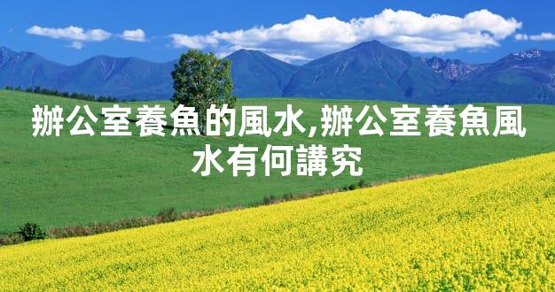 辦公室養魚的風水,辦公室養魚風水有何講究
