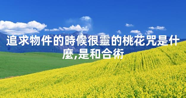 追求物件的時候很靈的桃花咒是什麼,是和合術