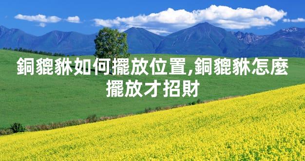 銅貔貅如何擺放位置,銅貔貅怎麼擺放才招財