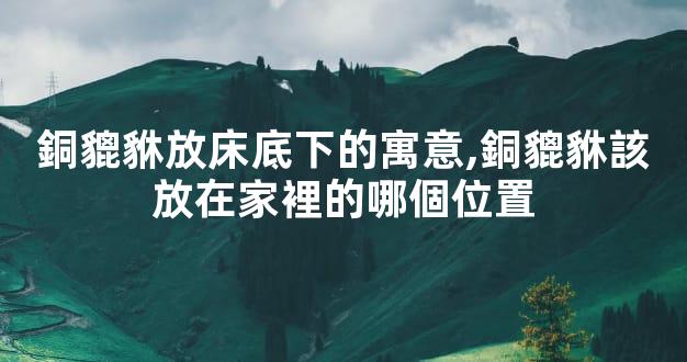 銅貔貅放床底下的寓意,銅貔貅該放在家裡的哪個位置