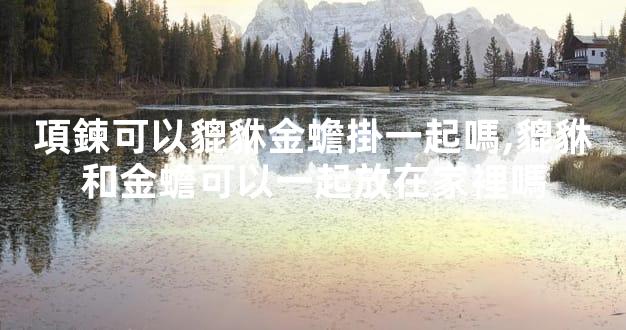 項鍊可以貔貅金蟾掛一起嗎,貔貅和金蟾可以一起放在家裡嗎