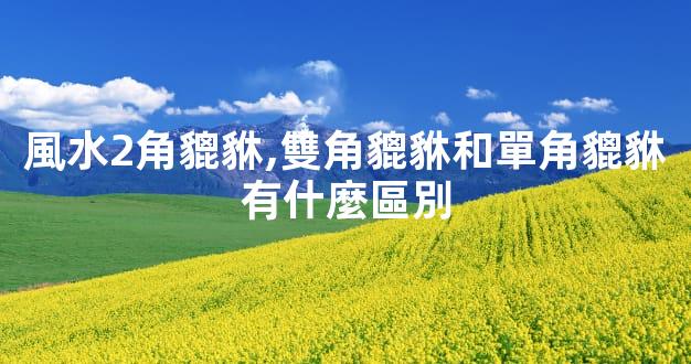風水2角貔貅,雙角貔貅和單角貔貅有什麼區別