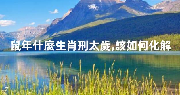 鼠年什麼生肖刑太歲,該如何化解