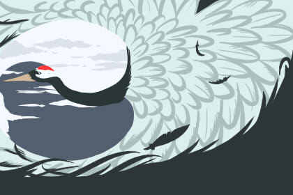 什麼人不能種生基