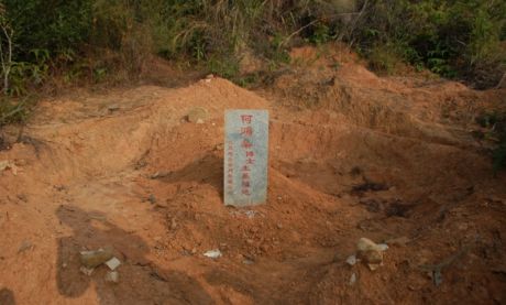 種生基,何鴻燊續命