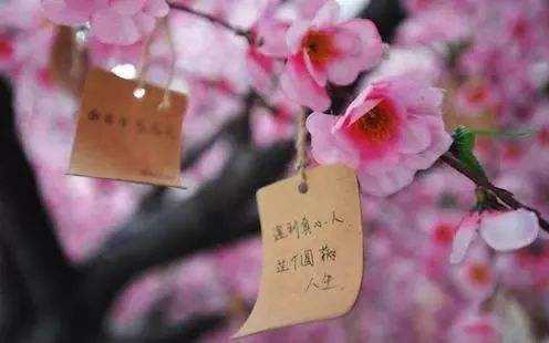 畫,桃花運