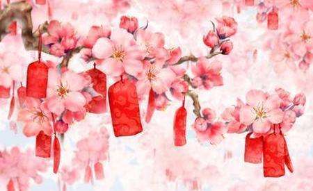 桃花運,感情運