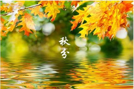 秋分,運勢