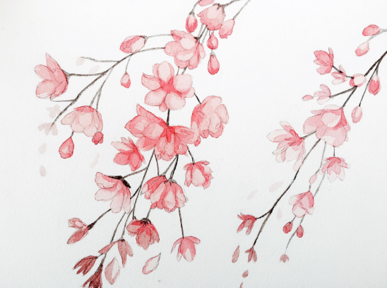 桃花運