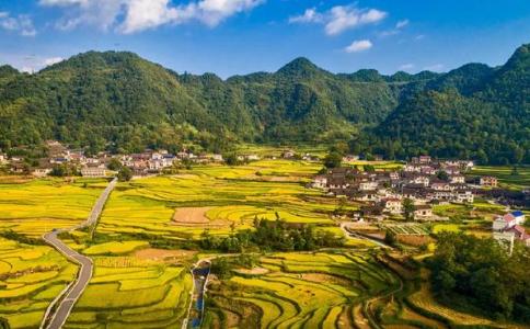 2020屬馬人財運最好的月份 把握住金秋十月