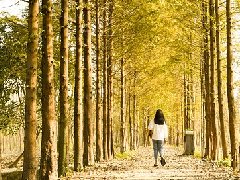 挽回男友可以做愛情和合術 怎麼做告訴你方法
