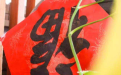 <b>出行擇吉日的重要性</b>
