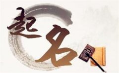 <b>鼠年新生嬰兒起名技巧</b>