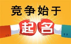 <b>四個字有創意公司名字</b>