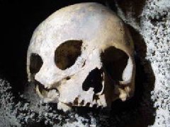 夢見有人要殺我