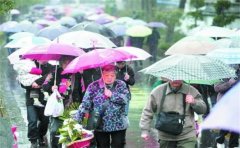 上墳的時候下雨是什麼征兆 有何寓意