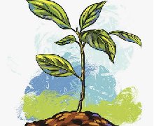 夢見剛發芽的樹苗