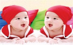 雙胞胎女孩取名字成語