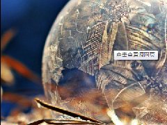 <b>夢見少婦</b>