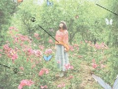 女人夢見蛇鑽進被窩裏