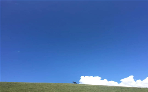夏天要少吃這類東西,怎樣吃東西能夠減少生病