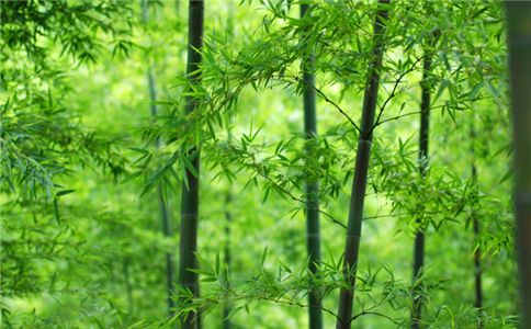 測妳這輩子什麽時候最富裕