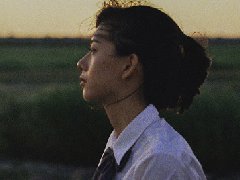 夢見當明星