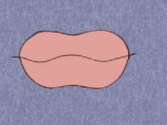 男人下唇中間有豎紋代表什麼