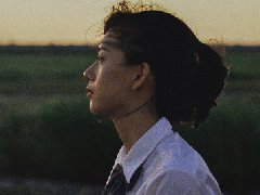 女人夢見蛇和烏龜