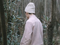 女人夢見蛇和烏龜