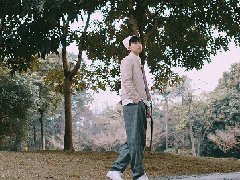 夢見宰相大臣