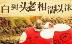 生辰測試婚姻次數 有這些八字的人都會經歷多次婚姻
