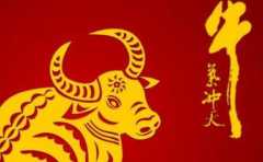 他們是有很好運的生肖 幸運常相伴
