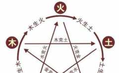 木命凶吉 因季節而不同 屬木的人一定要知道這幾點