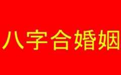 男女合婚主要看的是什麼 這幾個方面一定是你感興趣的